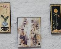 Resale - CAVE HOUSE - Fortuna