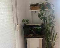 Revente -  Appartement - CARTAGENA - La Unión