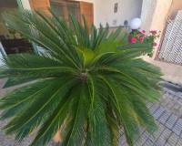 Revente - Maison au rez-de-chaussée - San Javier